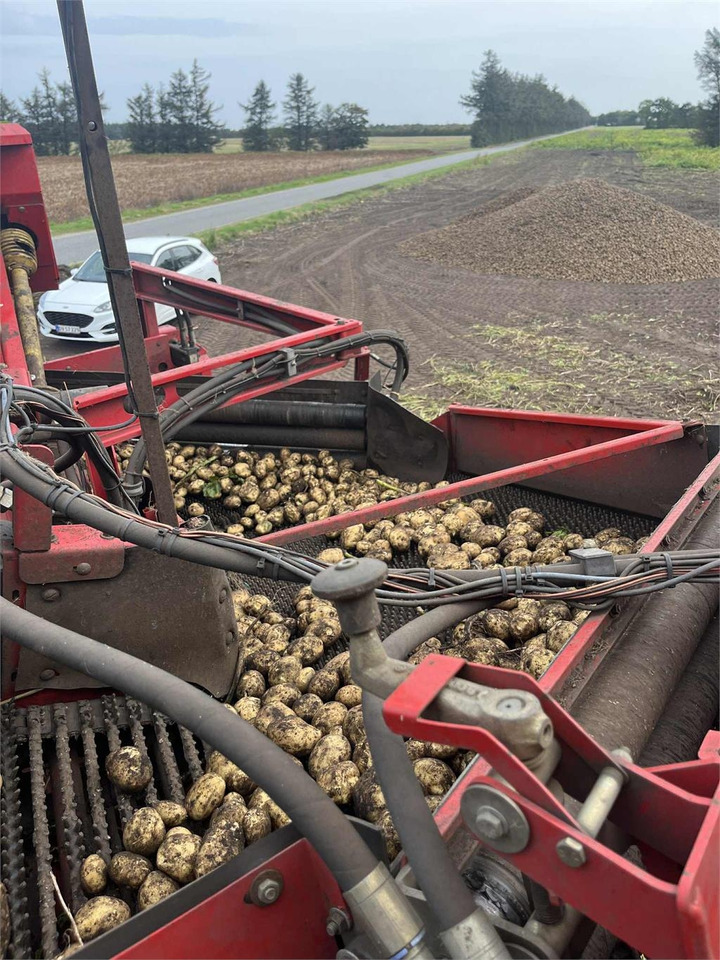 Grimme 150-60 NB HJULTRÆK - Πατατοεξαγωγέας: φωτογραφία 5 Grimme 150-60 NB HJULTRÆK - Πατατοεξαγωγέας: φωτογραφία 5