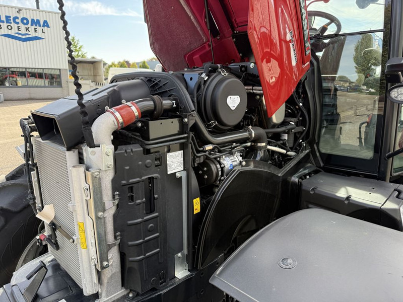 Μίσθωση Case IH Maxxum 150 CVXDrive Case IH Maxxum 150 CVXDrive: φωτογραφία 11