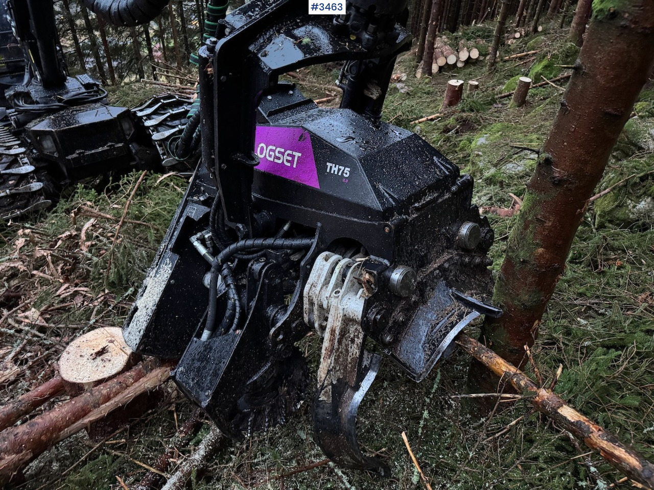 Συλλεκτική μηχανή - forest harvester 2022 Logset 12H GTE: φωτογραφία 35