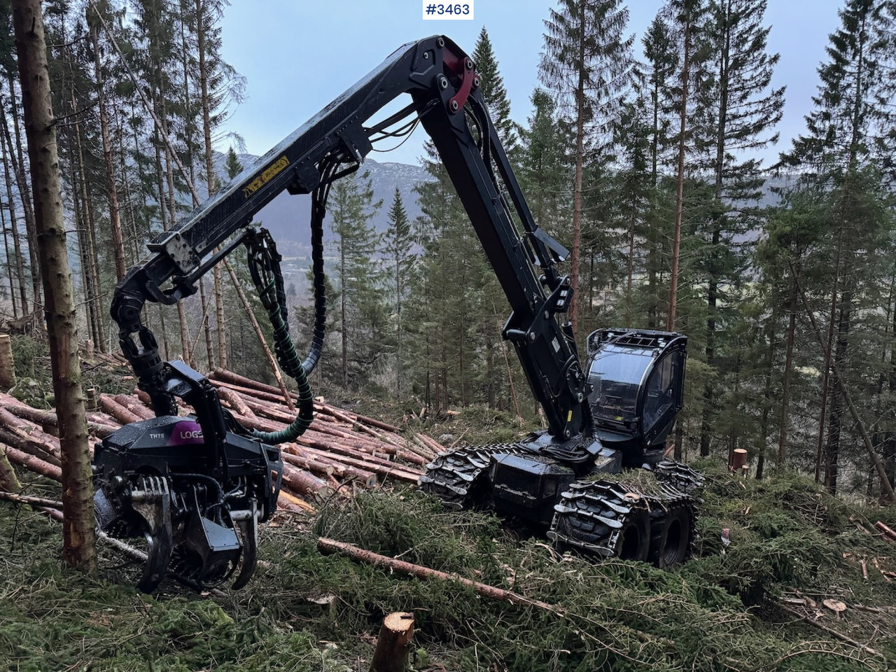 Συλλεκτική μηχανή - forest harvester 2022 Logset 12H GTE: φωτογραφία 25