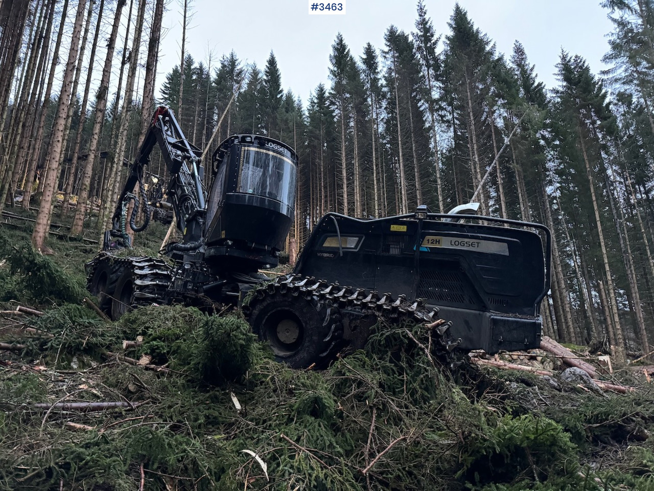 Συλλεκτική μηχανή - forest harvester 2022 Logset 12H GTE: φωτογραφία 7