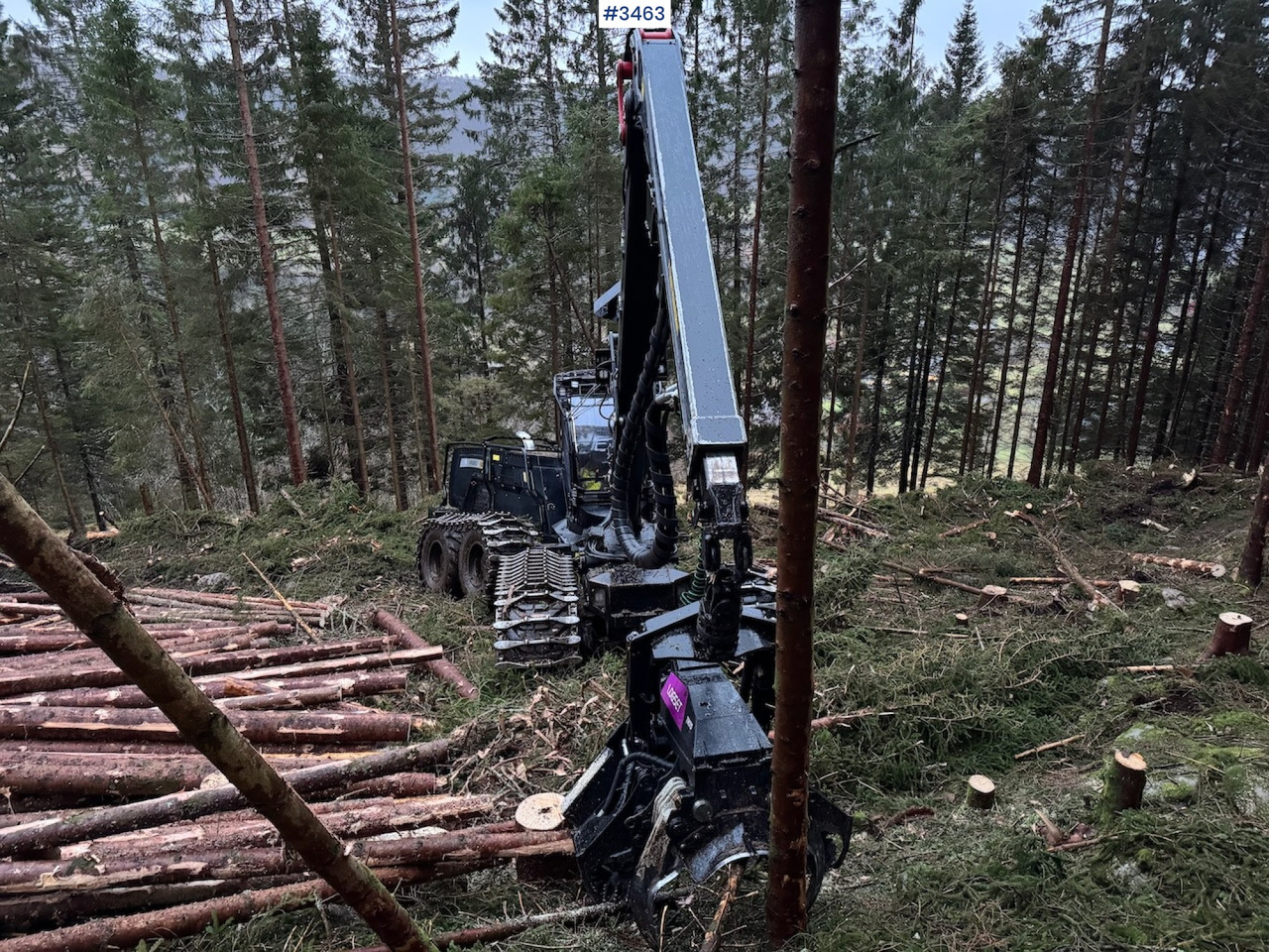 Συλλεκτική μηχανή - forest harvester 2022 Logset 12H GTE: φωτογραφία 11