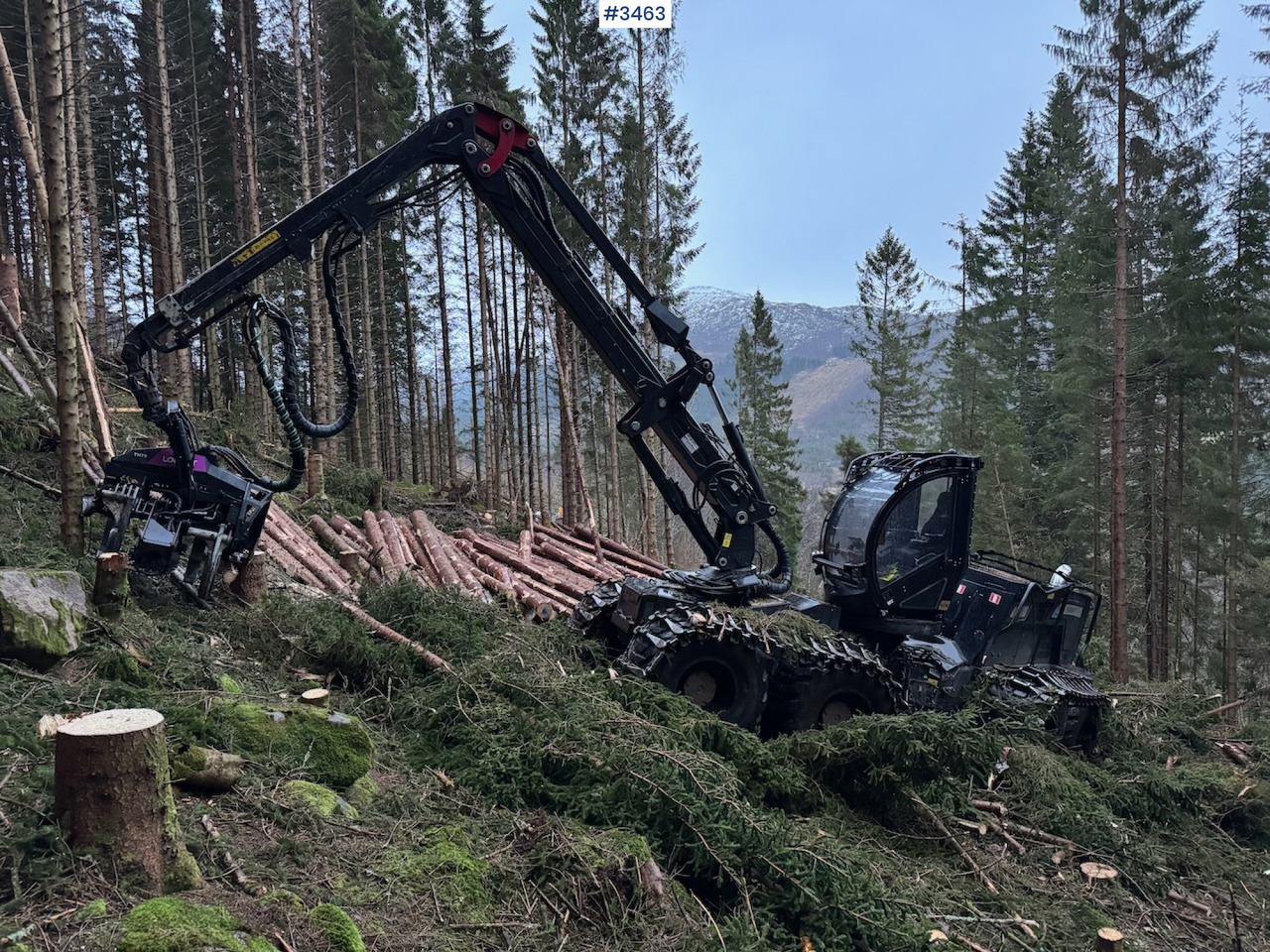 Συλλεκτική μηχανή - forest harvester 2022 Logset 12H GTE: φωτογραφία 5