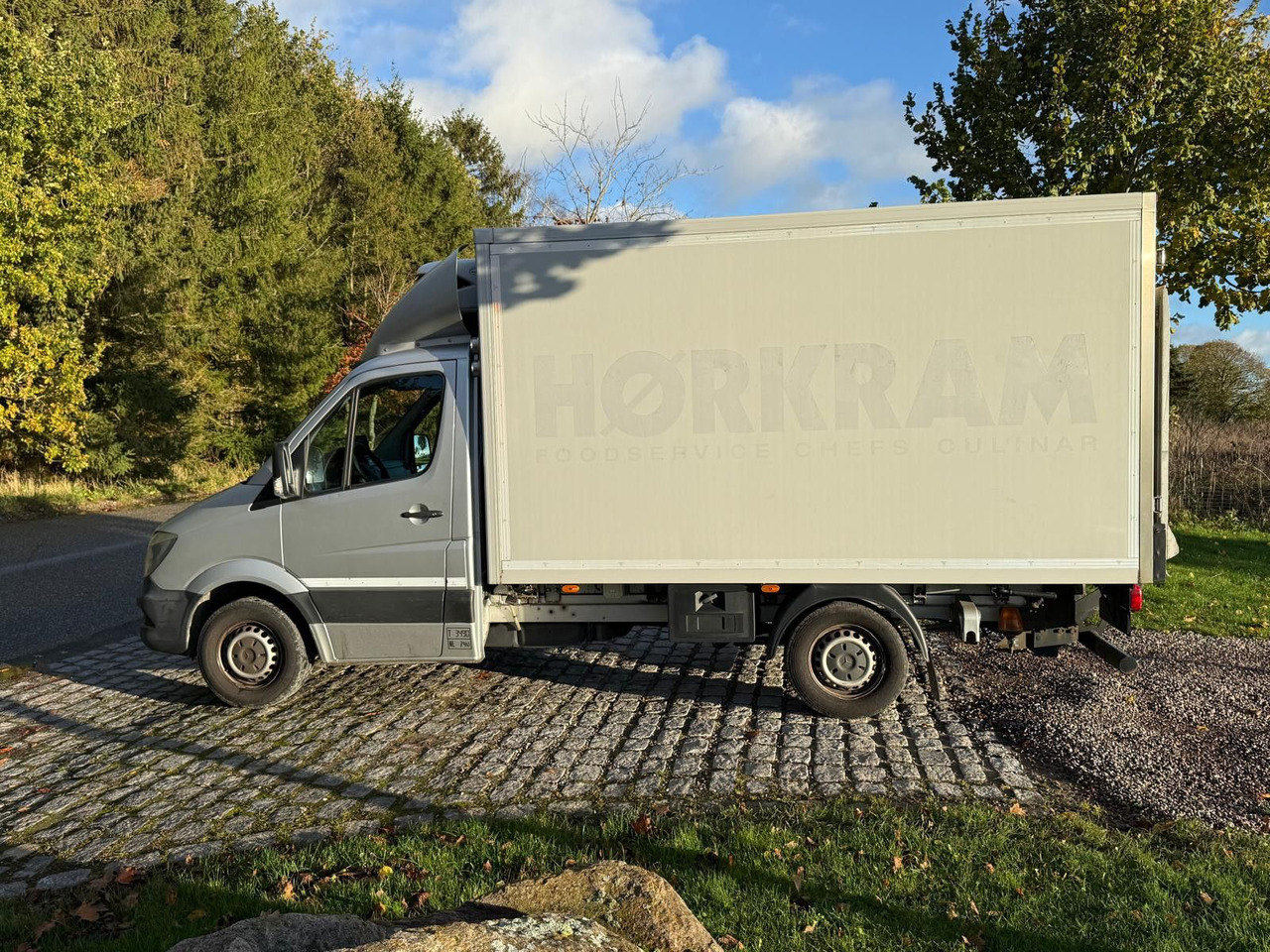 Mercedes-Benz Sprinter II 316 CDI Aut. Refigerator BOX +Lift - Επαγγελματικό αυτοκίνητο ψυγείο: φωτογραφία 5 Mercedes-Benz Sprinter II 316 CDI Aut. Refigerator BOX +Lift - Επαγγελματικό αυτοκίνητο ψυγείο: φωτογραφία 5