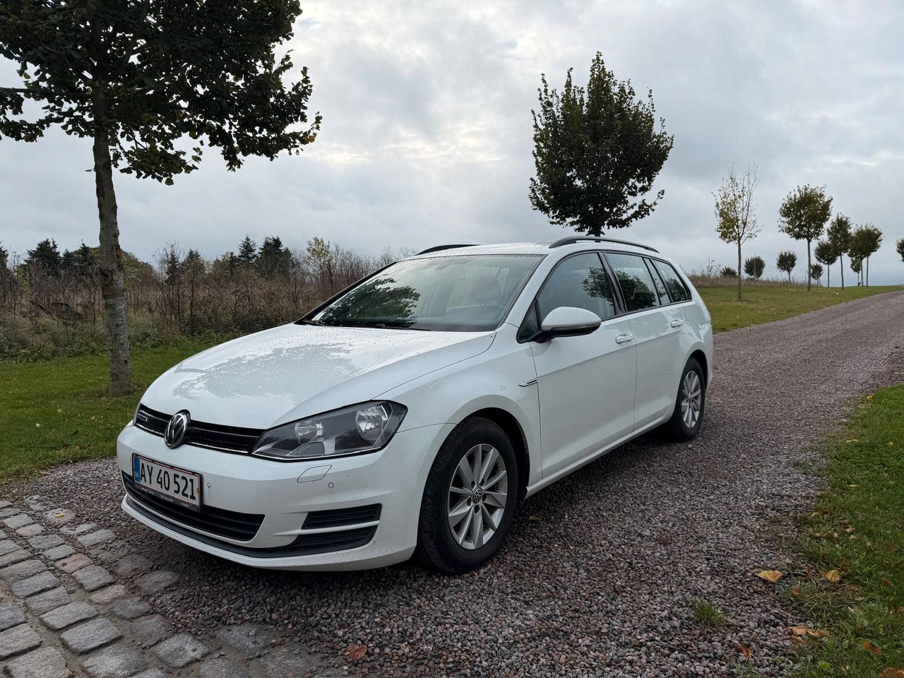 Volkswagen Golf VII Trendline BlueMotion - Station wagon: φωτογραφία 1 Volkswagen Golf VII Trendline BlueMotion - Station wagon: φωτογραφία 1