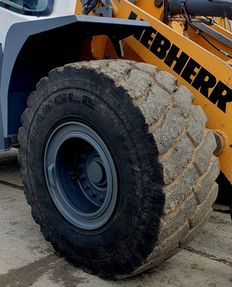 Ελαστιχοφόρος φορτωτής Liebherr L 550: φωτογραφία 15