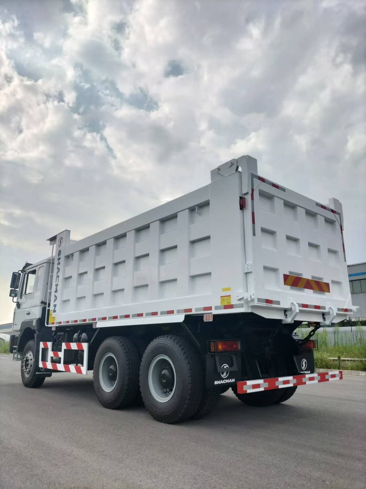 SHACMAN F3000 - Φορτηγό ανατρεπόμενο: φωτογραφία 5 SHACMAN F3000 - Φορτηγό ανατρεπόμενο: φωτογραφία 5