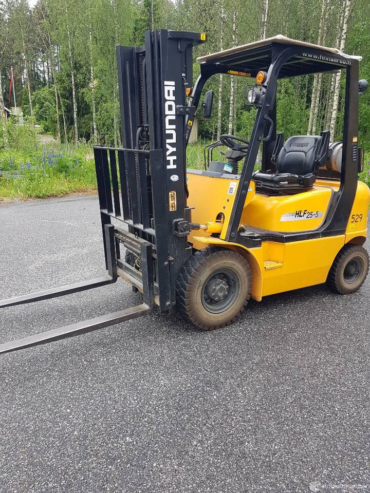 Hyundai HLF 25-5, 2007 Trukki, Lieto - Κατασκευή μηχανήματα: φωτογραφία 2 Hyundai HLF 25-5, 2007 Trukki, Lieto - Κατασκευή μηχανήματα: φωτογραφία 2