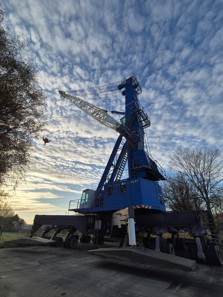 Liebherr LHM250 - Εξοπλισμός λιμένων: φωτογραφία 1 Liebherr LHM250 - Εξοπλισμός λιμένων: φωτογραφία 1