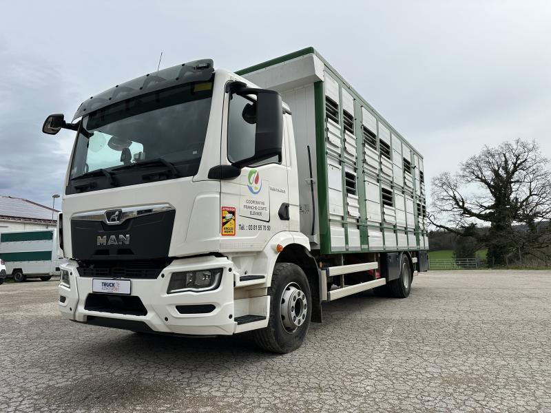 MAN M 90 15.290 TGM - Φορτηγό μεταφορά ζώων: φωτογραφία 3 MAN M 90 15.290 TGM - Φορτηγό μεταφορά ζώων: φωτογραφία 3