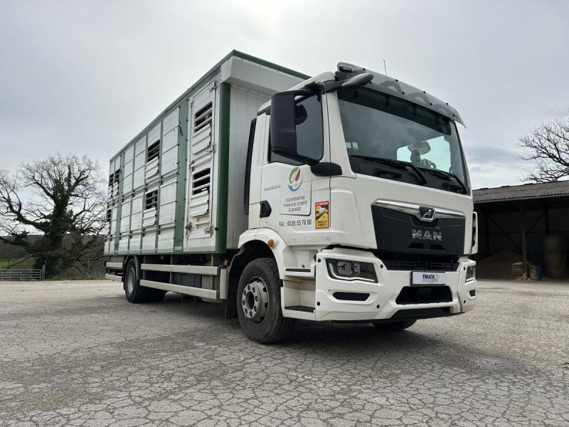MAN M 90 15.290 TGM - Φορτηγό μεταφορά ζώων: φωτογραφία 4 MAN M 90 15.290 TGM - Φορτηγό μεταφορά ζώων: φωτογραφία 4