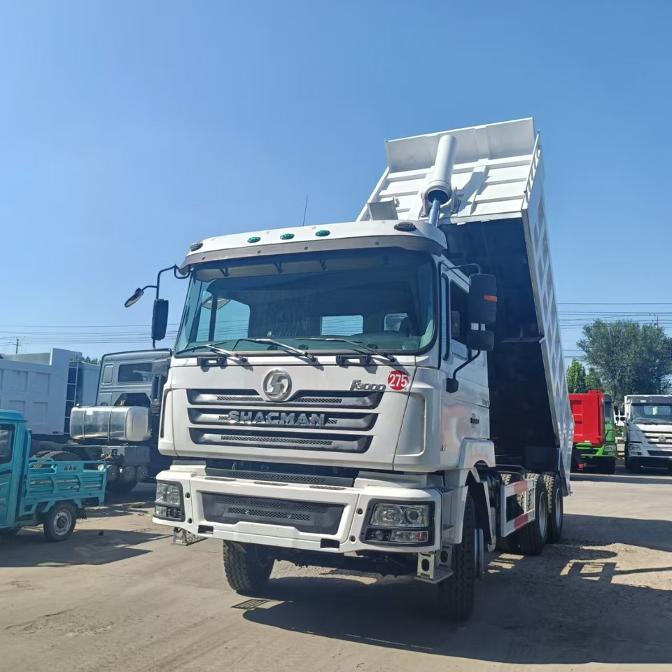 SHACMAN F3000 - Φορτηγό ανατρεπόμενο: φωτογραφία 4 SHACMAN F3000 - Φορτηγό ανατρεπόμενο: φωτογραφία 4