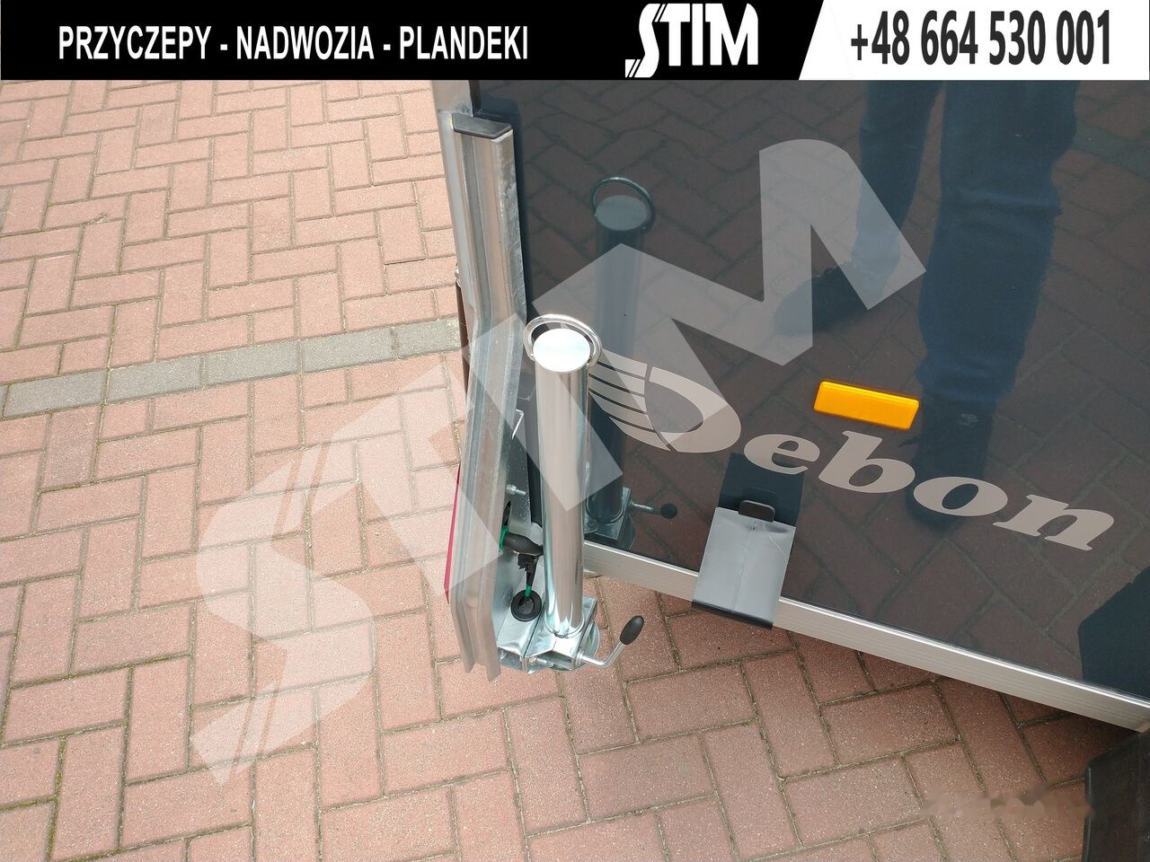 Νέα Ρυμούλκα κόφα Cheval Liberté Cargo + drzwi boczne: φωτογραφία 6 Νέα Ρυμούλκα κόφα Cheval Liberté Cargo + drzwi boczne: φωτογραφία 6