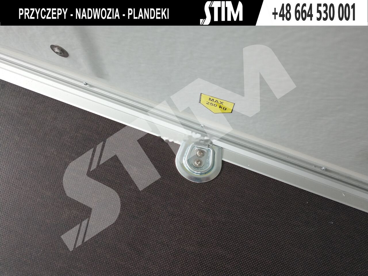 Νέα Ρυμούλκα κόφα Cheval Liberté Cargo + drzwi boczne: φωτογραφία 13 Νέα Ρυμούλκα κόφα Cheval Liberté Cargo + drzwi boczne: φωτογραφία 13