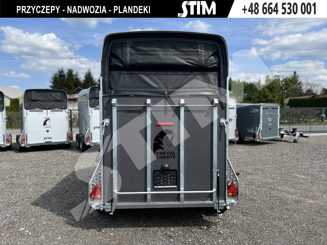 Cheval Liberté GOLD ORIGINS PODŁOGA ALU, BOKI SKLEJKA PPL - Τρέιλερ μεταφοράς αλόγων: φωτογραφία 5 Cheval Liberté GOLD ORIGINS PODŁOGA ALU, BOKI SKLEJKA PPL - Τρέιλερ μεταφοράς αλόγων: φωτογραφία 5