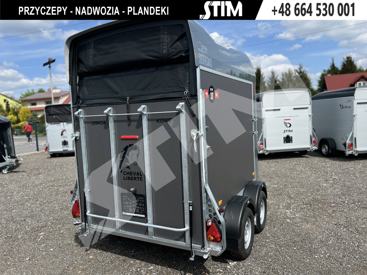 Cheval Liberté GOLD ORIGINS PODŁOGA ALU, BOKI SKLEJKA PPL - Τρέιλερ μεταφοράς αλόγων: φωτογραφία 4 Cheval Liberté GOLD ORIGINS PODŁOGA ALU, BOKI SKLEJKA PPL - Τρέιλερ μεταφοράς αλόγων: φωτογραφία 4