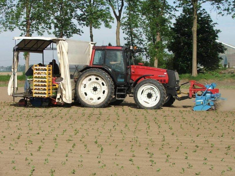 Valtra Valmet Zuidberg Fronthef - Τρακτέρ: φωτογραφία 4 Valtra Valmet Zuidberg Fronthef - Τρακτέρ: φωτογραφία 4