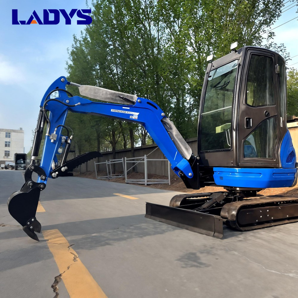 LADYS DY25U Mini Excavator Kubota Euro 5/Epa Engine Mini Excavator For Sale - Μίνι εκσκαφέας: φωτογραφία 4 LADYS DY25U Mini Excavator Kubota Euro 5/Epa Engine Mini Excavator For Sale - Μίνι εκσκαφέας: φωτογραφία 4