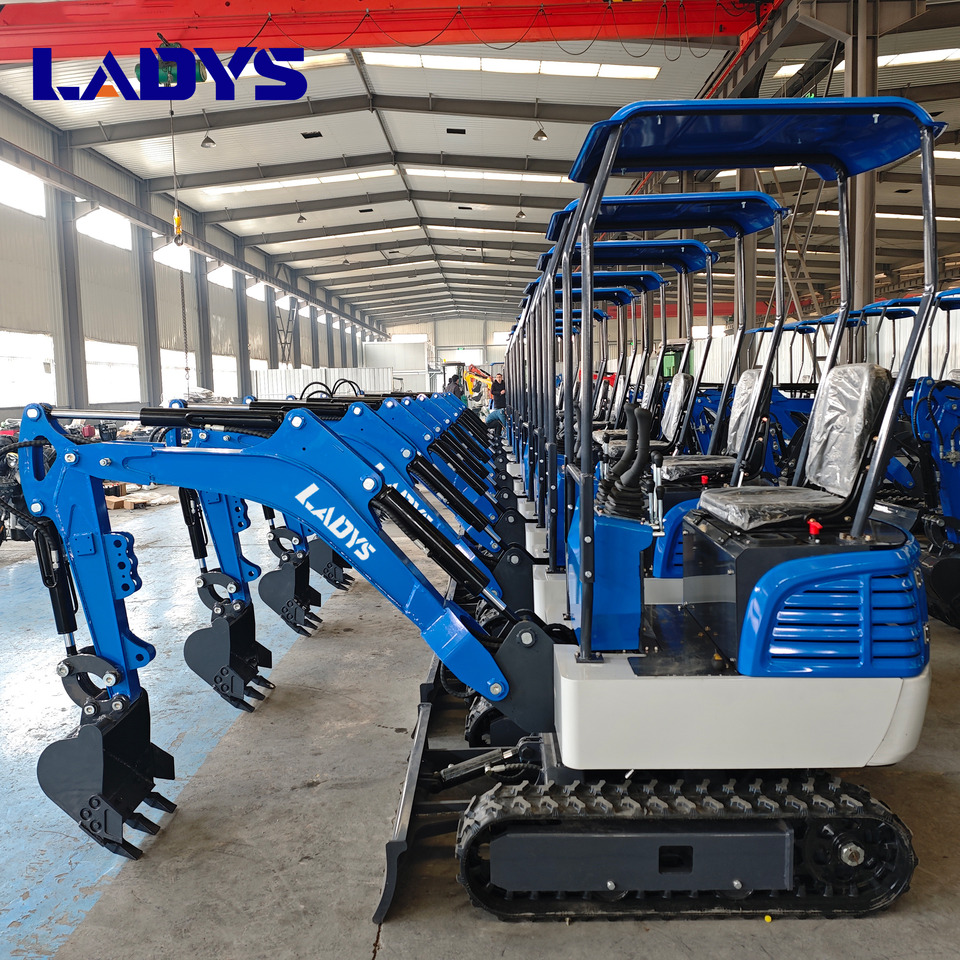 Free Shipping Mini Excavator Bagger Pelle Miniexcavadora 1 2 3.5 Ton CE/EPA/EURO 5 Kubota Engine Diesel/Electric Mini Excavators For Sale - Ερπυστριοφόρος εκσκαφέας: φωτογραφία 1 Free Shipping Mini Excavator Bagger Pelle Miniexcavadora 1 2 3.5 Ton CE/EPA/EURO 5 Kubota Engine Diesel/Electric Mini Excavators For Sale - Ερπυστριοφόρος εκσκαφέας: φωτογραφία 1
