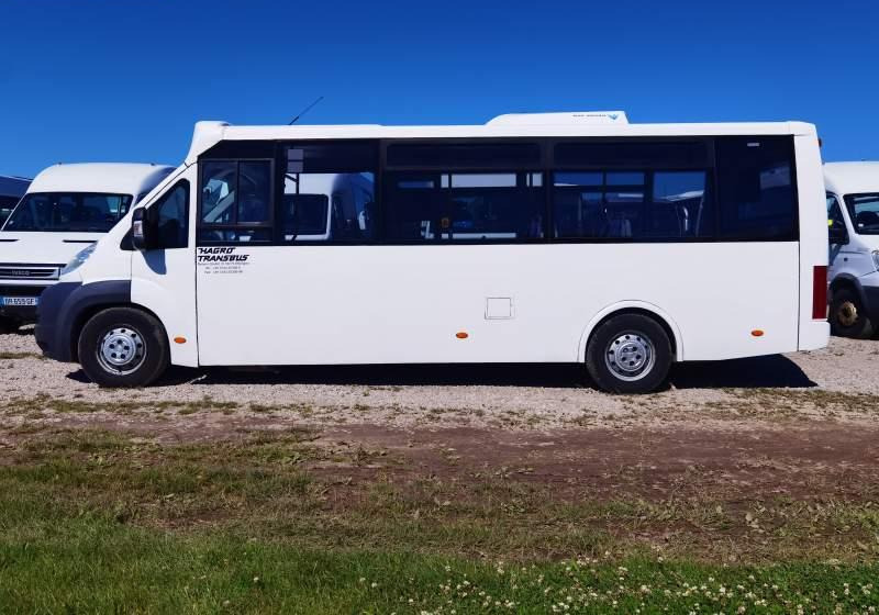 Fiat Ducato miejski, przewóz osób niepełnosprawnych - Μικρό λεωφορείο, Επιβατικό βαν: φωτογραφία 5 Fiat Ducato miejski, przewóz osób niepełnosprawnych - Μικρό λεωφορείο, Επιβατικό βαν: φωτογραφία 5
