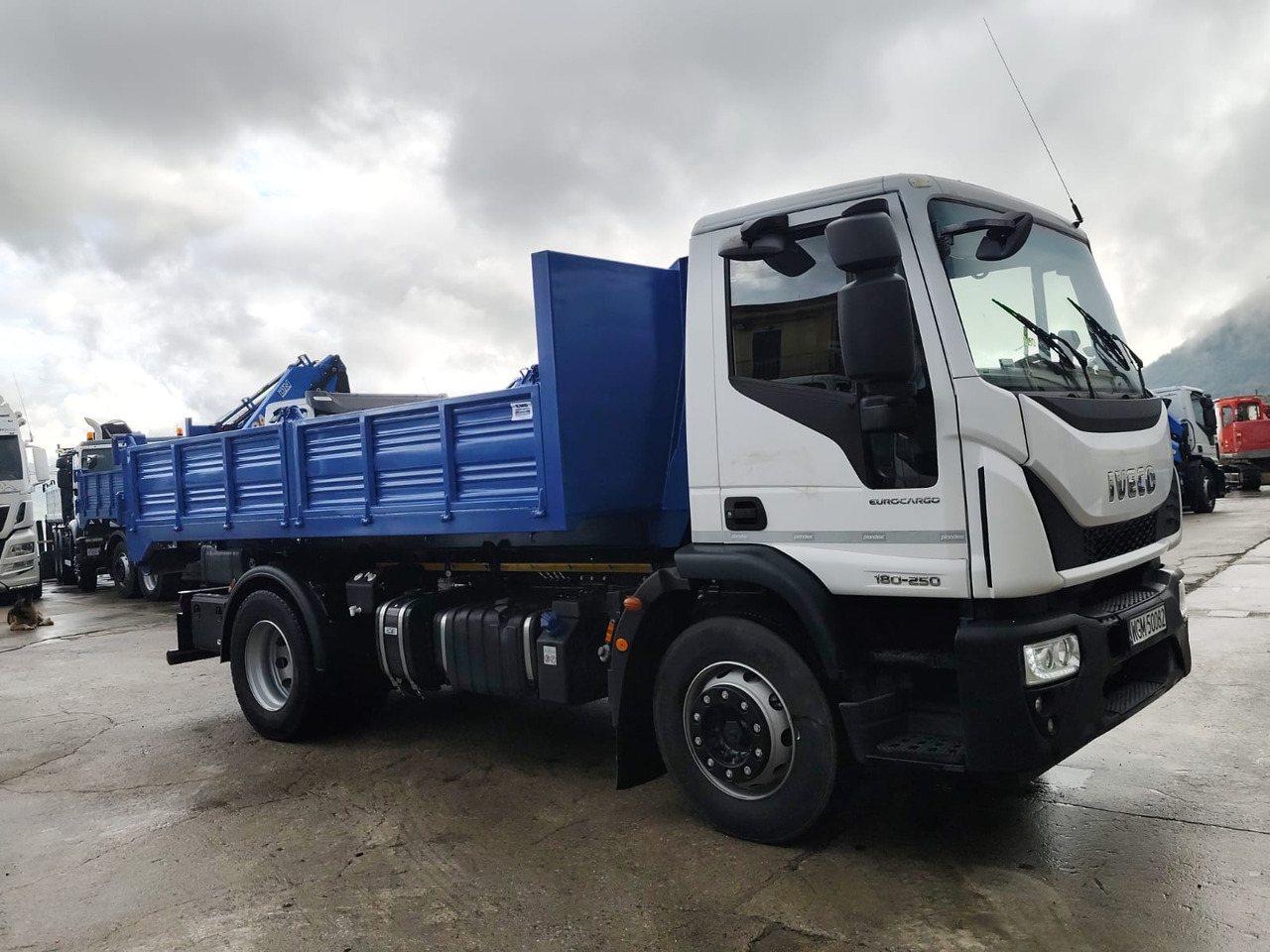 Φορτηγό φόρτωσης γάντζου, Φορτηγό με γερανό IVECO EUROCARGO 180-250: φωτογραφία 28