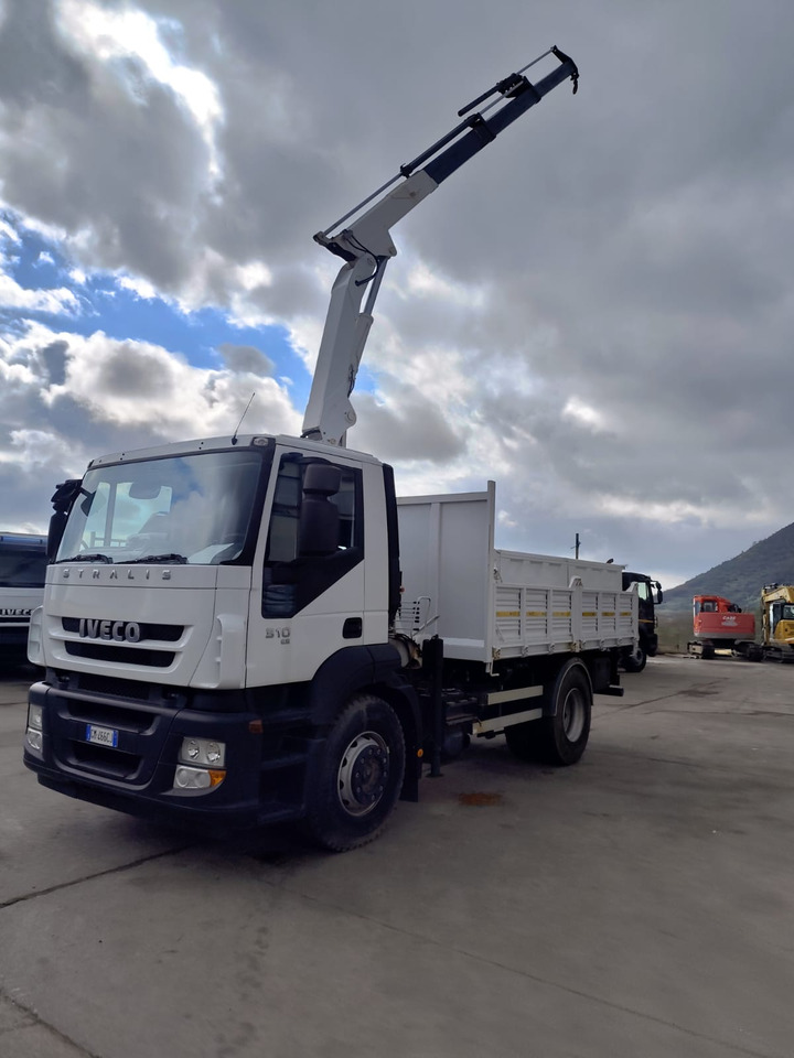 Φορτηγό με γερανό IVECO STRALIS AD 190S31P: φωτογραφία 44