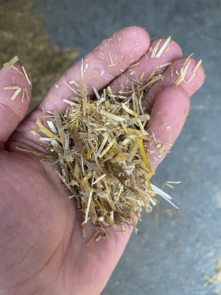 Bizon B-1130 kein teagle tomahawk, roto haybuster - Αχυροκοπτικό: φωτογραφία 3 Bizon B-1130 kein teagle tomahawk, roto haybuster - Αχυροκοπτικό: φωτογραφία 3