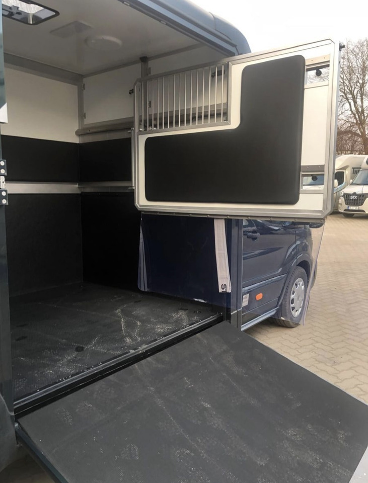 Ford Transit - Φορτηγό μεταφοράς αλόγων: φωτογραφία 5 Ford Transit - Φορτηγό μεταφοράς αλόγων: φωτογραφία 5