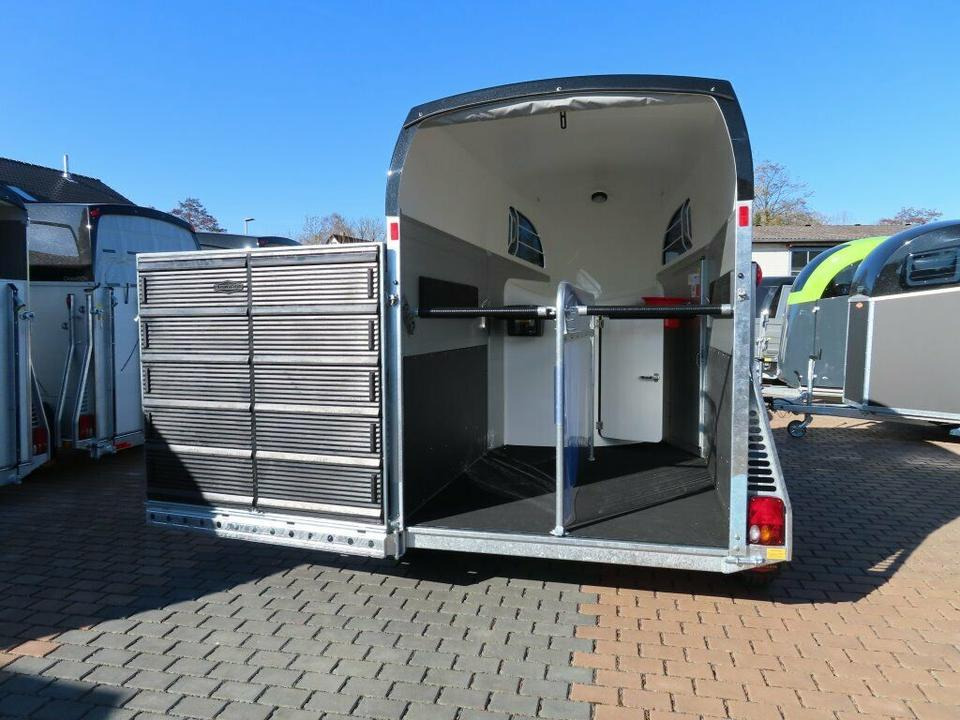 Böckmann, Pferdeanhänger, der neue Big Champion WCF 2025 - Τρέιλερ μεταφοράς αλόγων: φωτογραφία 4 Böckmann, Pferdeanhänger, der neue Big Champion WCF 2025 - Τρέιλερ μεταφοράς αλόγων: φωτογραφία 4