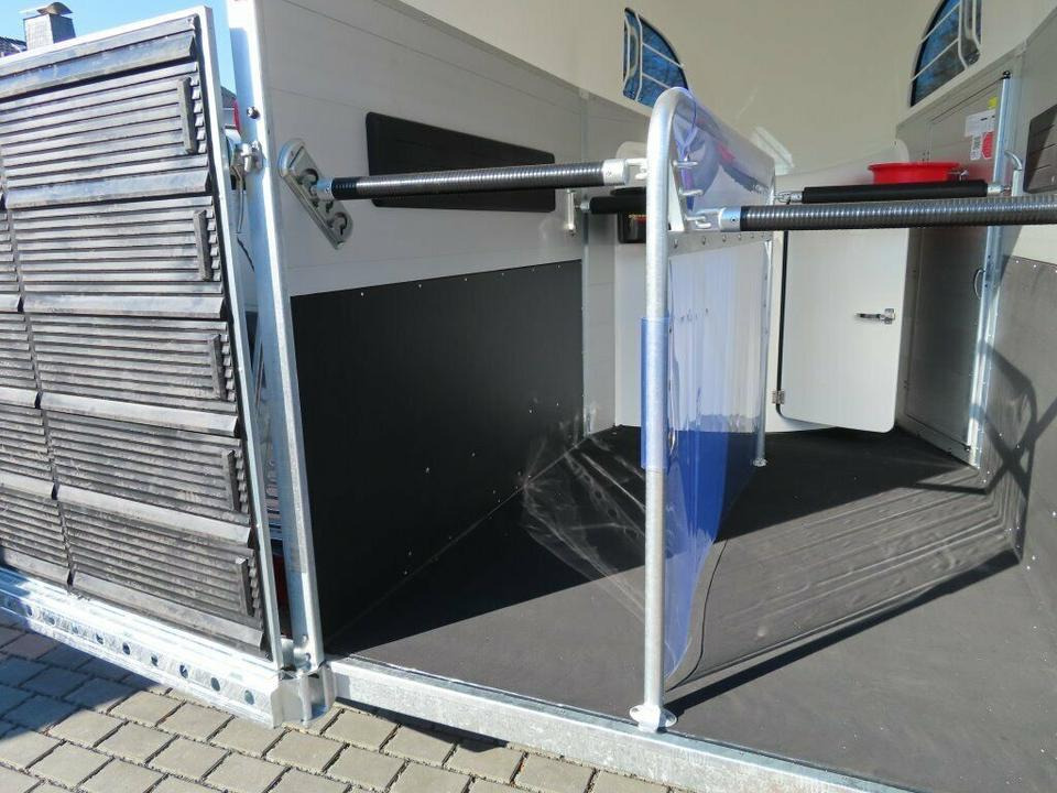 Böckmann, Pferdeanhänger, der neue Big Champion WCF 2025 - Τρέιλερ μεταφοράς αλόγων: φωτογραφία 5 Böckmann, Pferdeanhänger, der neue Big Champion WCF 2025 - Τρέιλερ μεταφοράς αλόγων: φωτογραφία 5