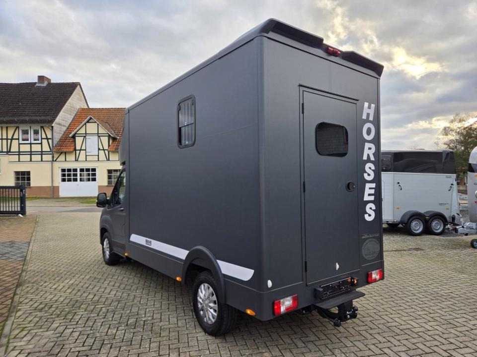 MSG Stablehopper Pferdetransporter Pferdeanhänger Böckmann - Φορτηγό μεταφοράς αλόγων: φωτογραφία 4 MSG Stablehopper Pferdetransporter Pferdeanhänger Böckmann - Φορτηγό μεταφοράς αλόγων: φωτογραφία 4