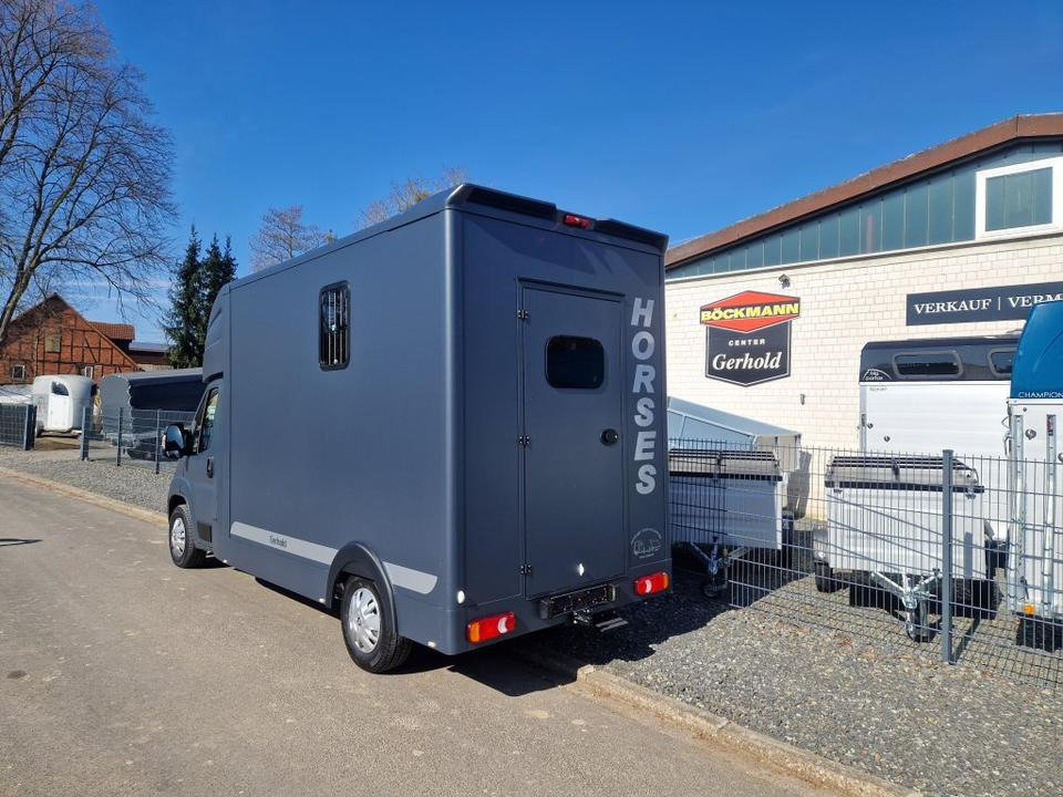 MSG Stablehopper Pferdetransporter Pferdeanhänger Böckmann - Φορτηγό μεταφοράς αλόγων: φωτογραφία 4 MSG Stablehopper Pferdetransporter Pferdeanhänger Böckmann - Φορτηγό μεταφοράς αλόγων: φωτογραφία 4