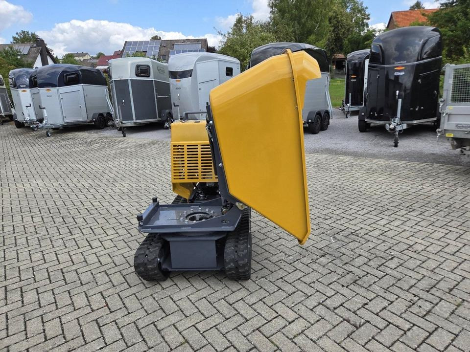 Muldendumper 1,2t Schwenkbar Kettendumper Dumper Mieten Leihen - Ερπυστριοφορος ανατρεπόμενο: φωτογραφία 4 Muldendumper 1,2t Schwenkbar Kettendumper Dumper Mieten Leihen - Ερπυστριοφορος ανατρεπόμενο: φωτογραφία 4