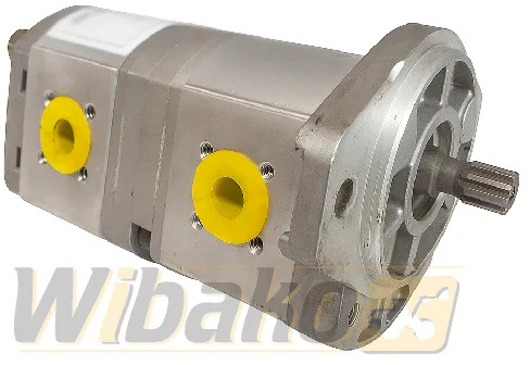 Rexroth G241/08+05LR20MR - Υδραυλική αντλία για Κατασκευή μηχανήματα: φωτογραφία 1 Rexroth G241/08+05LR20MR - Υδραυλική αντλία για Κατασκευή μηχανήματα: φωτογραφία 1