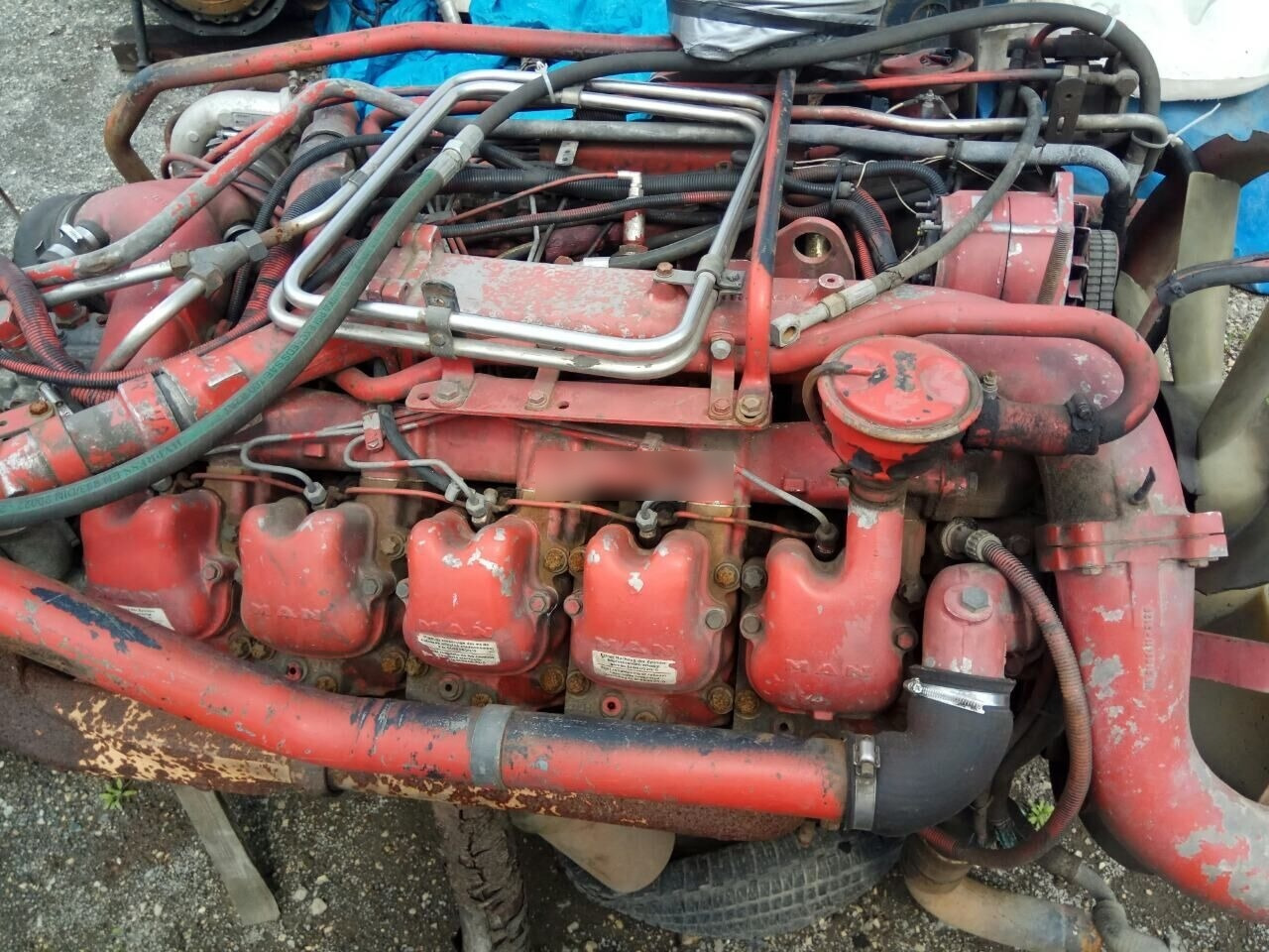 MAN D2840 LF01 MAN F90 - Κινητήρας για Φορτηγό: φωτογραφία 1 MAN D2840 LF01 MAN F90 - Κινητήρας για Φορτηγό: φωτογραφία 1