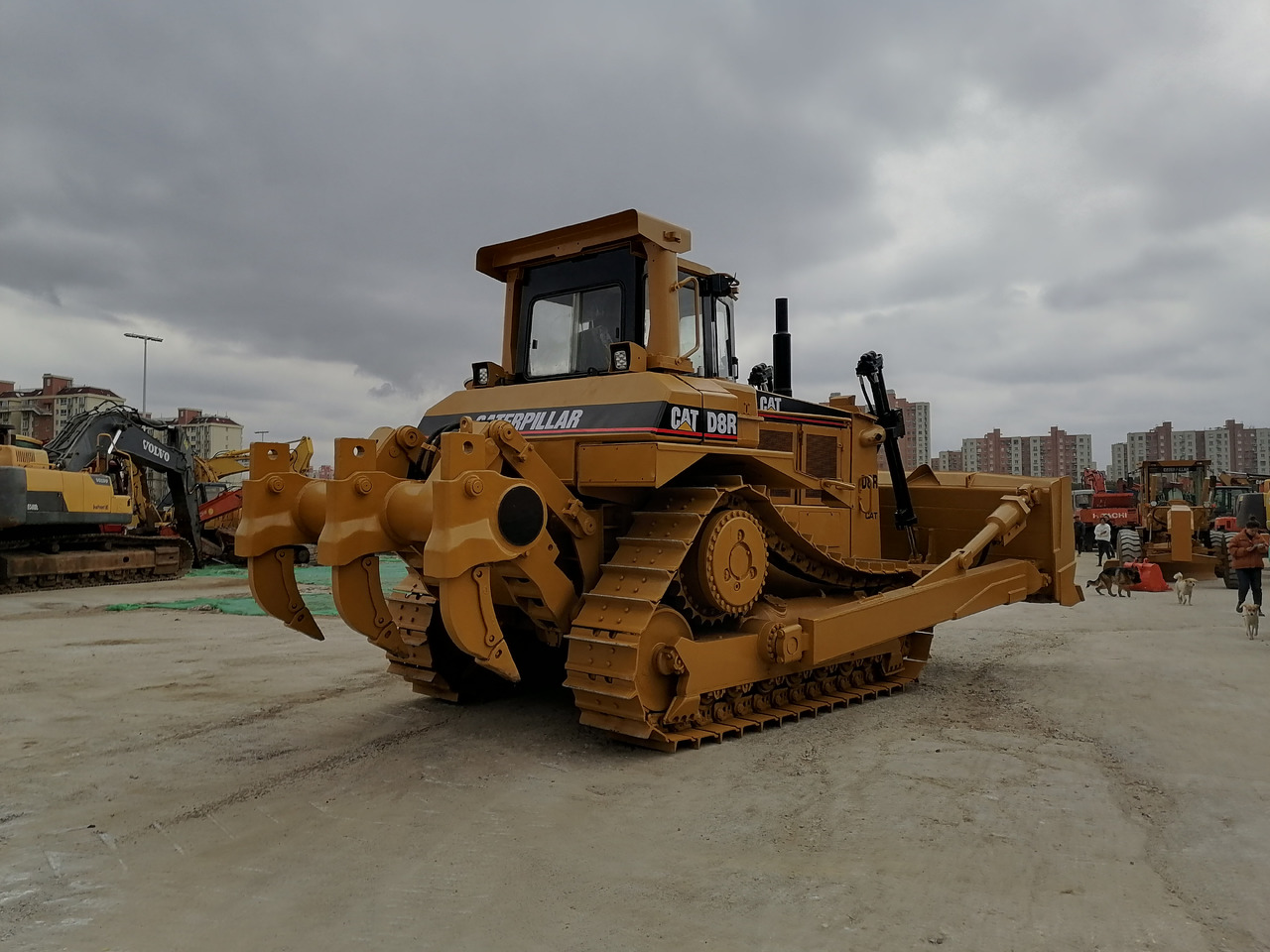 CATERPILLAR D8R - Μπουλντόζα: φωτογραφία 2 CATERPILLAR D8R - Μπουλντόζα: φωτογραφία 2