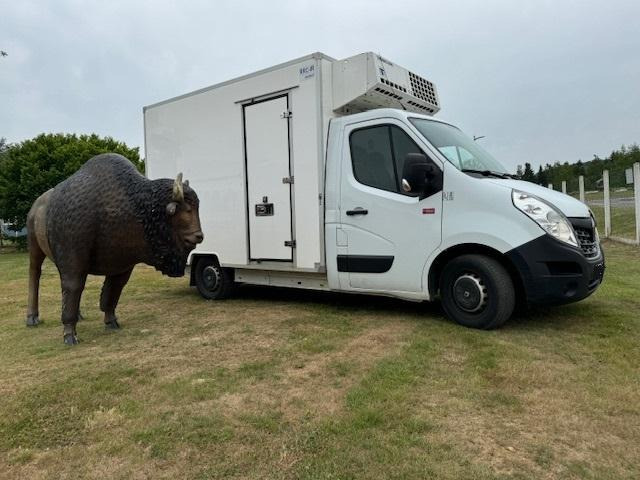 Renault Master - Επαγγελματικό αυτοκίνητο ψυγείο: φωτογραφία 5 Renault Master - Επαγγελματικό αυτοκίνητο ψυγείο: φωτογραφία 5