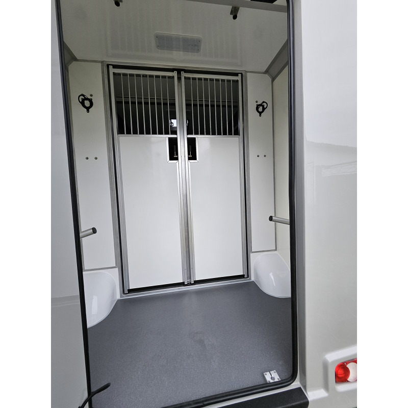 Opel Movano AKX by Stephex - Φορτηγό μεταφοράς αλόγων: φωτογραφία 4 Opel Movano AKX by Stephex - Φορτηγό μεταφοράς αλόγων: φωτογραφία 4