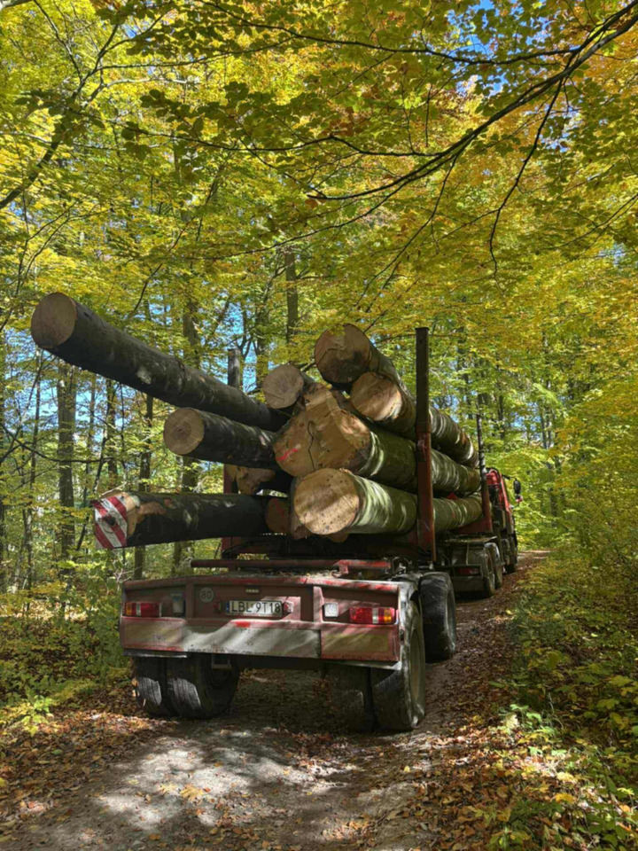 DAF CF510 - Φορτηγό ξυλείας, Φορτηγό με γερανό: φωτογραφία 3 DAF CF510 - Φορτηγό ξυλείας, Φορτηγό με γερανό: φωτογραφία 3