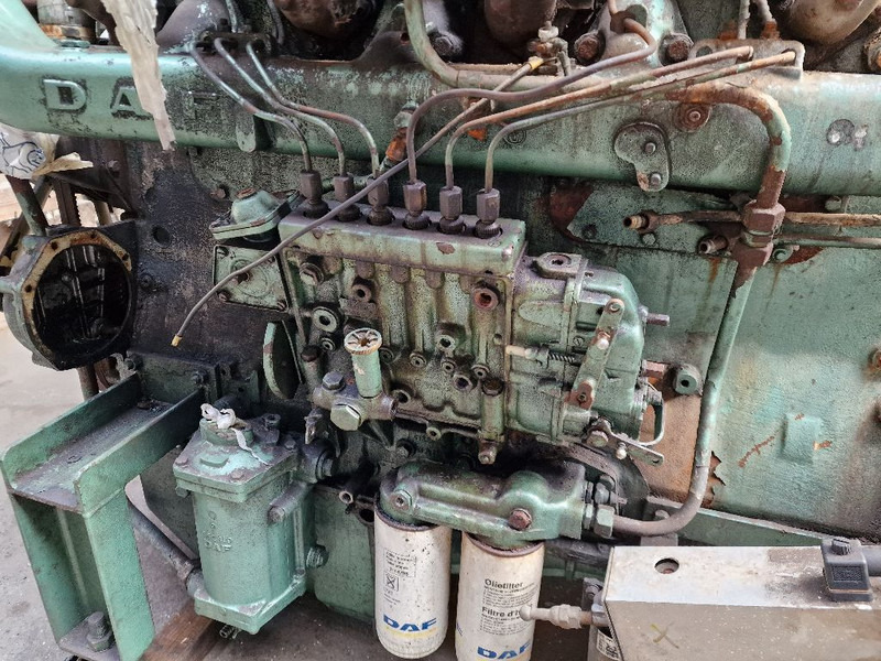 DAF 1160 TURBO (DKS1160E) - Κινητήρας: φωτογραφία 5 DAF 1160 TURBO (DKS1160E) - Κινητήρας: φωτογραφία 5