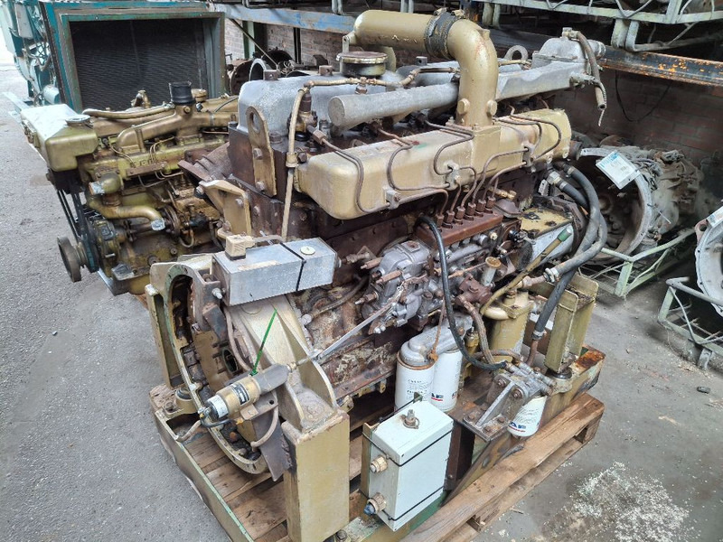 DAF 825 TURBO (DHU825) - Κινητήρας: φωτογραφία 1 DAF 825 TURBO (DHU825) - Κινητήρας: φωτογραφία 1