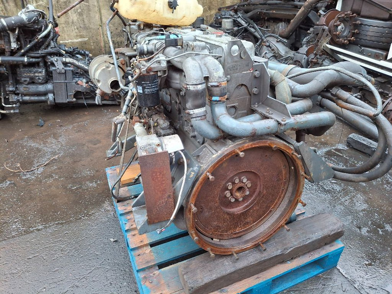 DAF RS180M (75CF) - Κινητήρας: φωτογραφία 3 DAF RS180M (75CF) - Κινητήρας: φωτογραφία 3