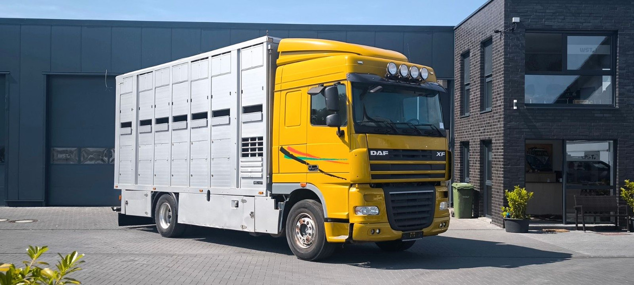 DAF XF 410 SC Menke Doppelstock - Φορτηγό μεταφοράς αλόγων: φωτογραφία 2 DAF XF 410 SC Menke Doppelstock - Φορτηγό μεταφοράς αλόγων: φωτογραφία 2