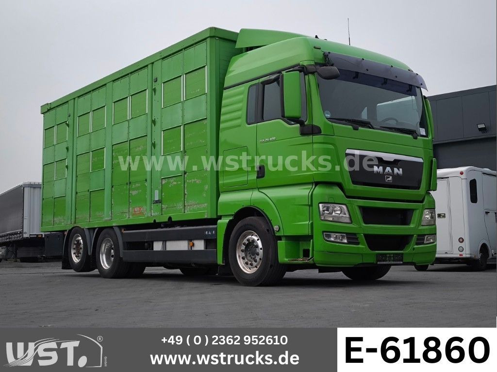 MAN TGX 26.480 XL KABA 3 Stock Vollalu - Φορτηγό μεταφοράς αλόγων: φωτογραφία 1 MAN TGX 26.480 XL KABA 3 Stock Vollalu - Φορτηγό μεταφοράς αλόγων: φωτογραφία 1