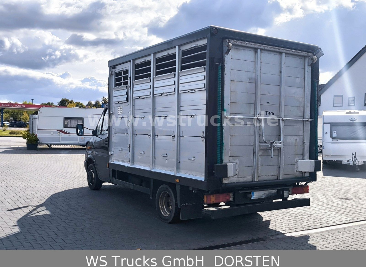 Mercedes-Benz Sprinter 411 CDI Viehtransporter - Φορτηγό μεταφορά ζώων: φωτογραφία 4 Mercedes-Benz Sprinter 411 CDI Viehtransporter - Φορτηγό μεταφορά ζώων: φωτογραφία 4