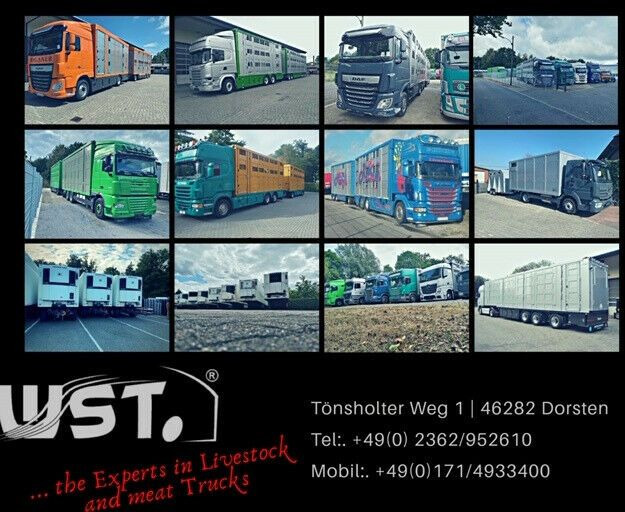 Επικαθήμενο κόφα Schmitz Cargobull SKO 24 Vector 1950 Strom MT /Doppelstock Bi Temp: φωτογραφία 19