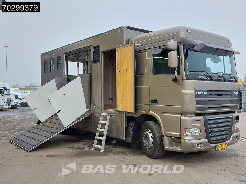 Μίσθωση DAF XF105.410 XF 4X2 NL-Truck JK Horsetruck 6 Horses Pferdentransport Manual Euro 5 DAF XF105.410 XF 4X2 NL-Truck JK Horsetruck 6 Horses Pferdentransport Manual Euro 5: φωτογραφία 16 Μίσθωση DAF XF105.410 XF 4X2 NL-Truck JK Horsetruck 6 Horses Pferdentransport Manual Euro 5 DAF XF105.410 XF 4X2 NL-Truck JK Horsetruck 6 Horses Pferdentransport Manual Euro 5: φωτογραφία 16