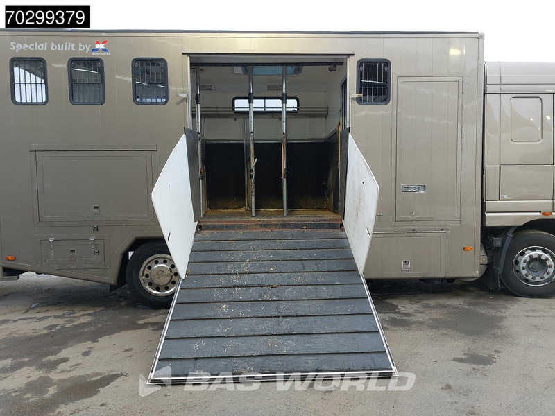 Μίσθωση DAF XF105.410 XF 4X2 NL-Truck JK Horsetruck 6 Horses Pferdentransport Manual Euro 5 DAF XF105.410 XF 4X2 NL-Truck JK Horsetruck 6 Horses Pferdentransport Manual Euro 5: φωτογραφία 18 Μίσθωση DAF XF105.410 XF 4X2 NL-Truck JK Horsetruck 6 Horses Pferdentransport Manual Euro 5 DAF XF105.410 XF 4X2 NL-Truck JK Horsetruck 6 Horses Pferdentransport Manual Euro 5: φωτογραφία 18