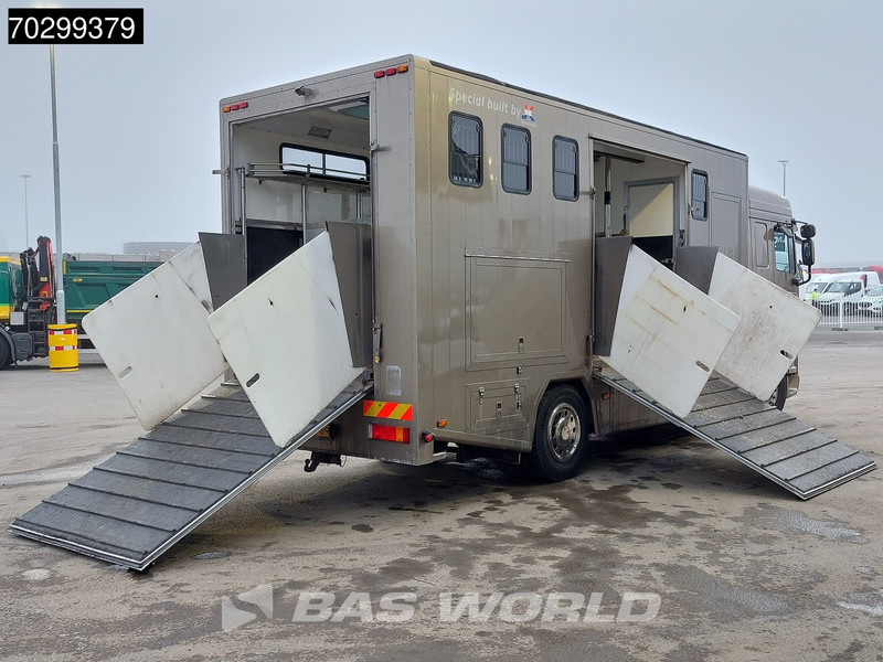 Μίσθωση DAF XF105.410 XF 4X2 NL-Truck JK Horsetruck 6 Horses Pferdentransport Manual Euro 5 DAF XF105.410 XF 4X2 NL-Truck JK Horsetruck 6 Horses Pferdentransport Manual Euro 5: φωτογραφία 8 Μίσθωση DAF XF105.410 XF 4X2 NL-Truck JK Horsetruck 6 Horses Pferdentransport Manual Euro 5 DAF XF105.410 XF 4X2 NL-Truck JK Horsetruck 6 Horses Pferdentransport Manual Euro 5: φωτογραφία 8