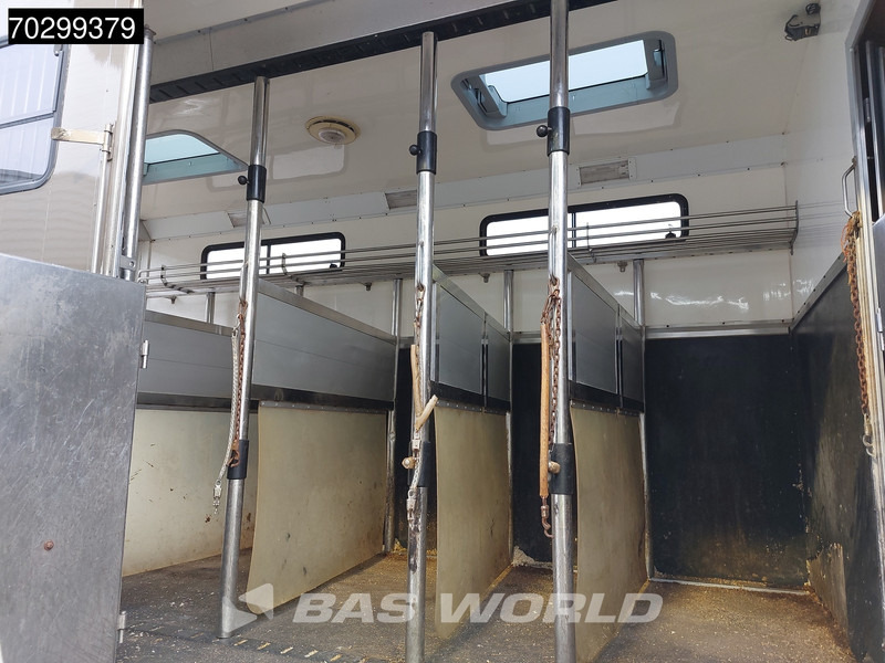 Μίσθωση DAF XF105.410 XF 4X2 NL-Truck JK Horsetruck 6 Horses Pferdentransport Manual Euro 5 DAF XF105.410 XF 4X2 NL-Truck JK Horsetruck 6 Horses Pferdentransport Manual Euro 5: φωτογραφία 12 Μίσθωση DAF XF105.410 XF 4X2 NL-Truck JK Horsetruck 6 Horses Pferdentransport Manual Euro 5 DAF XF105.410 XF 4X2 NL-Truck JK Horsetruck 6 Horses Pferdentransport Manual Euro 5: φωτογραφία 12